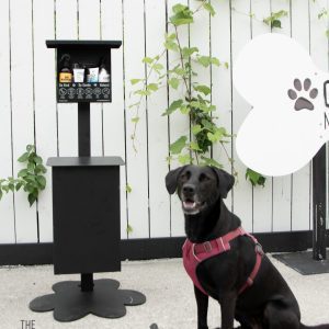 The Wellness Depot | Dog Park Outfitters