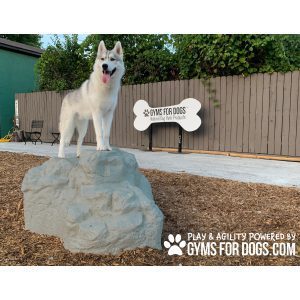 Small Climbing Boulder | Dog Park Outfitters