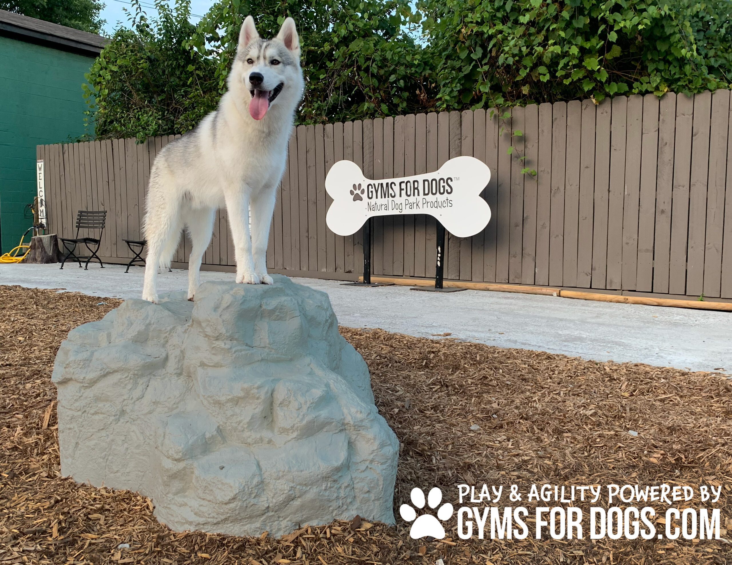 Small Climbing Boulder | Dog Park Outfitters