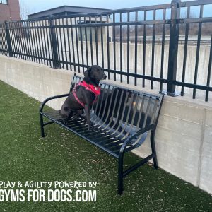 Standard Slated Park Bench