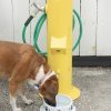 DoggieDemand DL 1000 DD DWC Rizzo2 WM