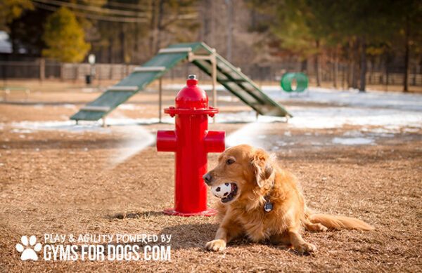 Fire Hydrants | Dog Park Outfitters