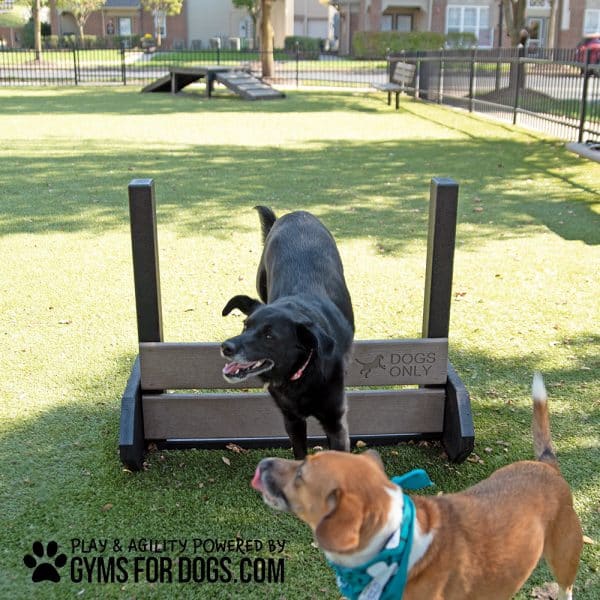 Medium dog playground equipment jump hurdles legacyapts