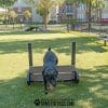 Medium dog playground equipment jump hurdles remi