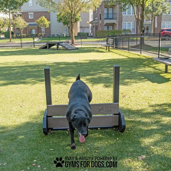Medium dog playground equipment jump hurdles remi
