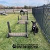 Small dog playground equipment jump hurdles Harmony