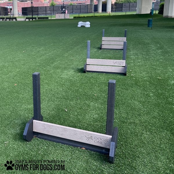 dog playground equipment jump hurdles citywalkbham