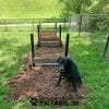 dog playground equipment jump hurdles ellie