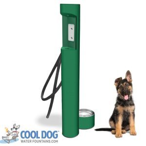 DL 1000 BF hose green