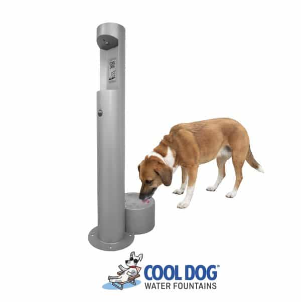 Drink, Cool™ Bottle Filler with Single Dog Basin