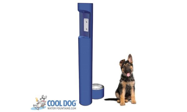 DL 1000 BF bluesfhbaharb