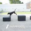 JumpDog AgilityTrainingBoxes fullSet