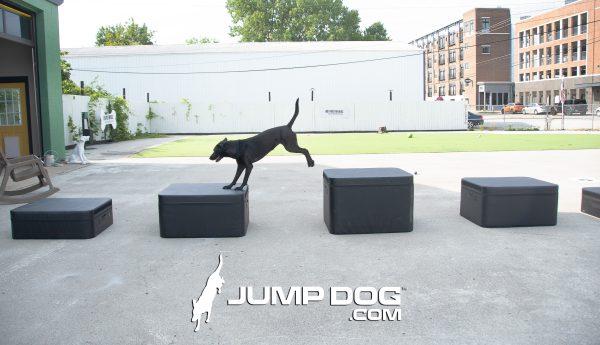 JumpDog AgilityTrainingBoxes fullSet