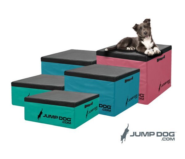 Jump Dog™ - BOUNCE Jump Training Agility Box Set