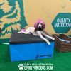 TrainingBoxes HomePage dog globalpet4