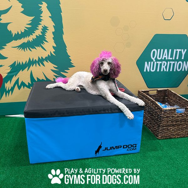 TrainingBoxes HomePage dog globalpet4