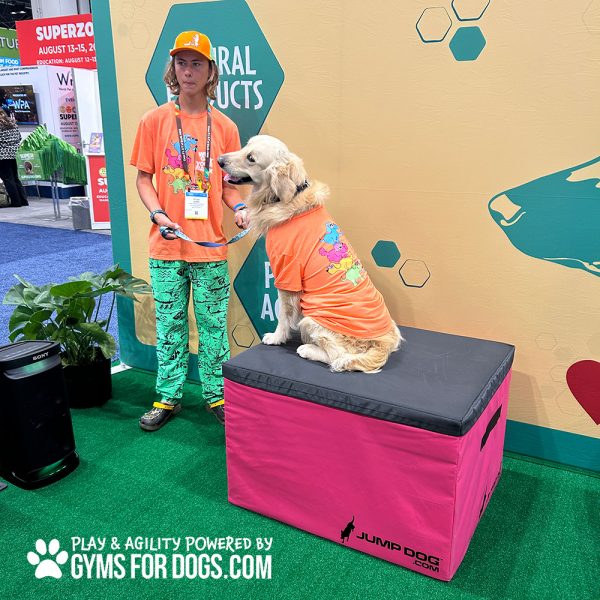 TrainingBoxes HomePage dog globalpet5