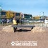 NEW dog park equipment ellies boulder bridge pro ClayTerrace2