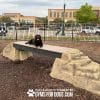 dog park equipment ellies boulder bridge pro ClayTerrace2
