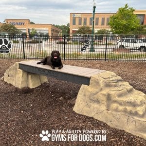dog park equipment ellies boulder bridge pro ClayTerrace2