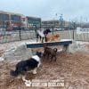 dog park equipment ellies boulder bridge pro ClayTerrace4