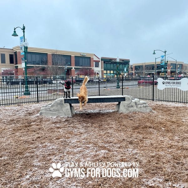 dog park equipment ellies boulder bridge pro ClayTerrace5