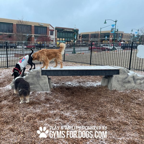 dog park equipment ellies boulder bridge pro ClayTerrace6