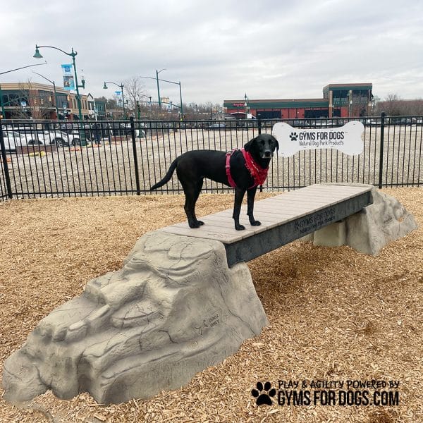 dog park equipment ellies boulder bridge pro ClayTerrace8