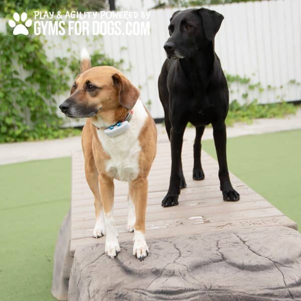 dog park equipment ellies boulder bridge pro RangelineRd12