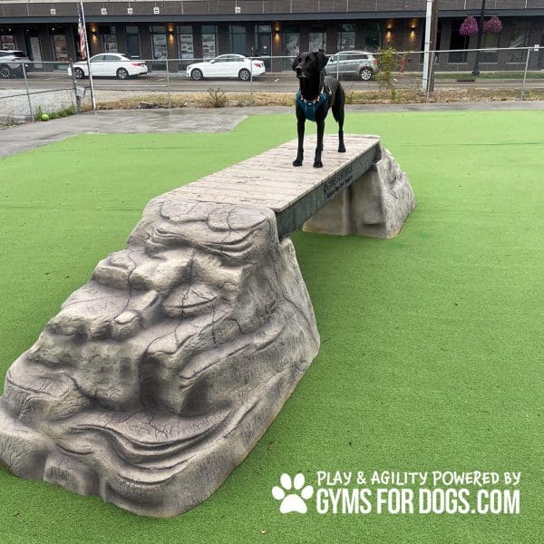 dog park equipment ellies boulder bridge pro RangelineRd14