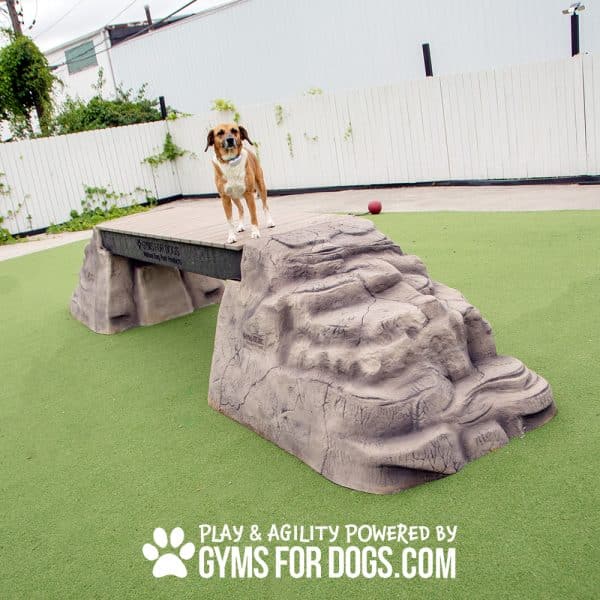 dog park equipment ellies boulder bridge pro RangelineRd8