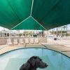 HipShade DogParkOutfitters SwimmingPoolShade2 HipShade DogParkOutfitters SwimmingPoolShade2