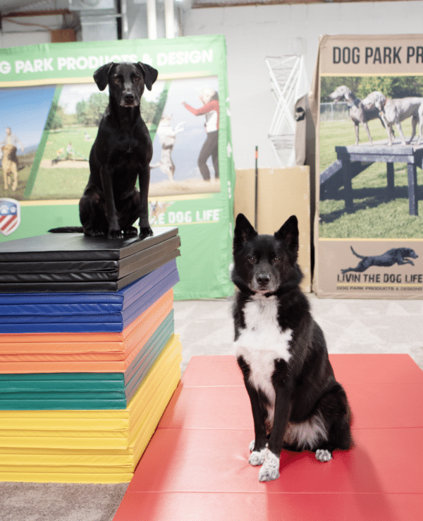 Jump Dog Wrestle & Rumble Play Mats