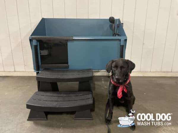 Cool Dog Wash Tub Blue with Maggie
