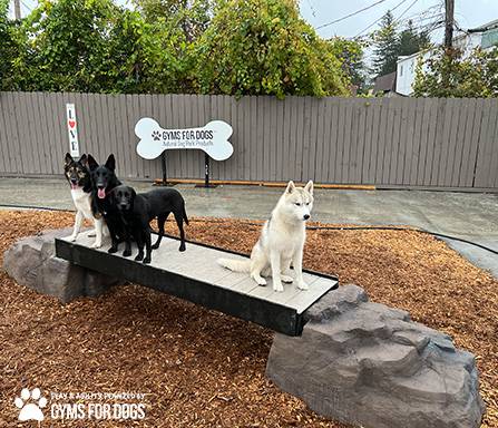 Eco-Friendly Dog Play Equipment & Agility Structures - KirbyBuilt Products