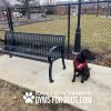 6ftSlatedBench Maggie