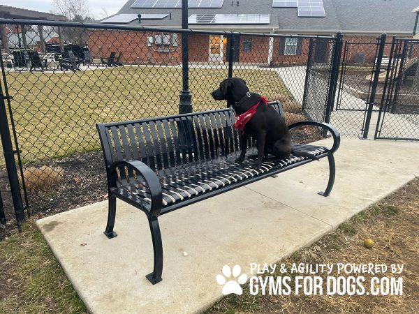 Standard Bench - Thermoplastic Coasted Steel