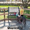 Dog Playground Equipment Professional Dog Park Sign Nutmeg