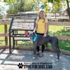 Dog Playground Equipment Professional Dog Park Sign Nutmeg4