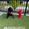 Fire Hydrant – Portable Bottom Fill Fire Hydrant – Portable Bottom Fill