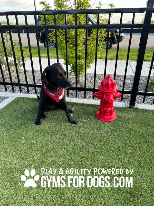 Fire Hydrant – Portable Bottom Fill