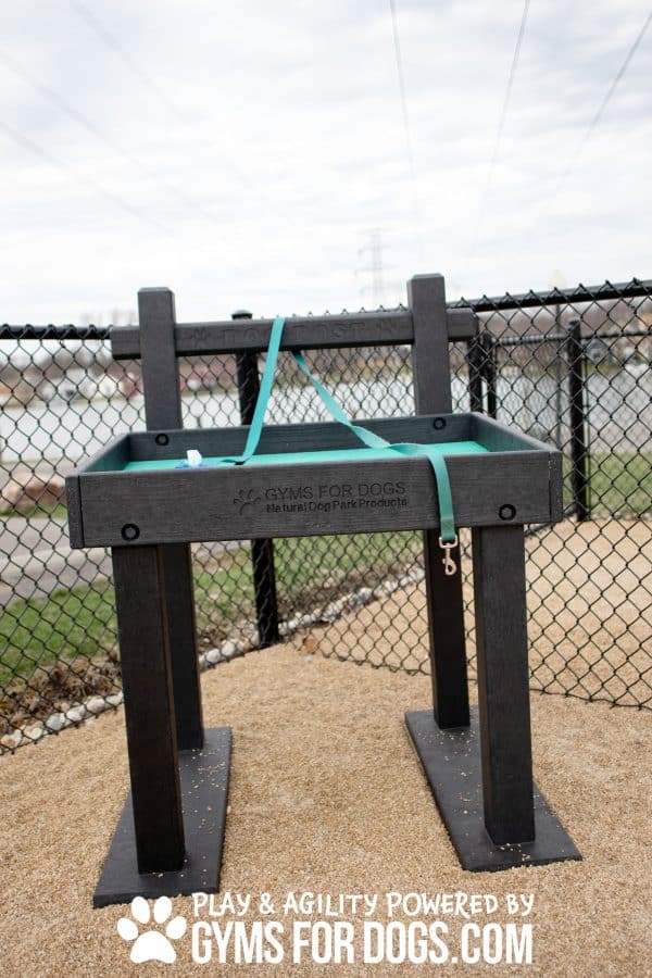 LeashPost&ToyBox GymsForDogs VibrantPetGreen
