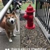 PortableHydrant PortableHydrant
