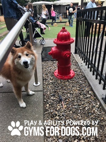 PortableHydrant