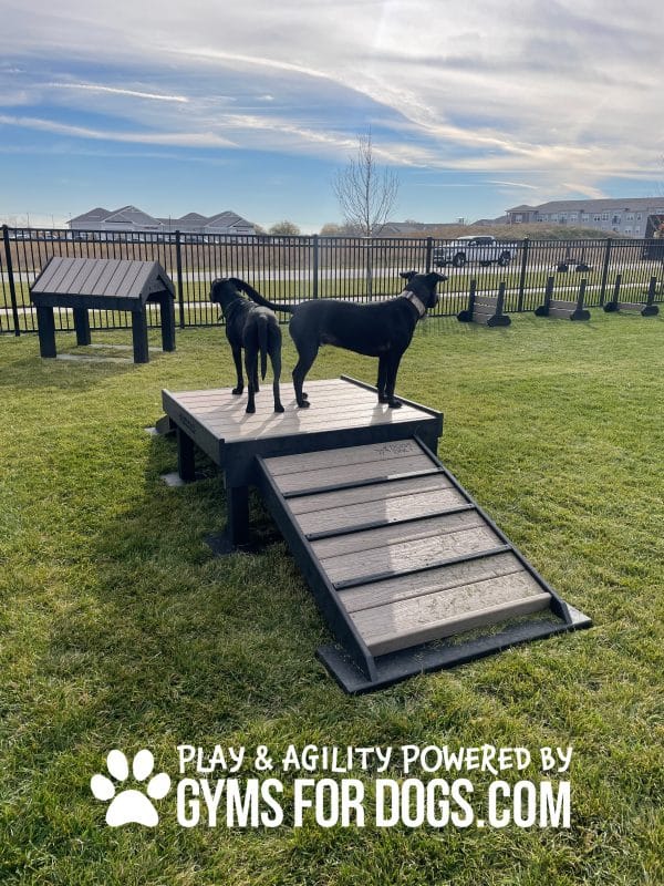 Vibrant Pets - Nutmeg Dog Park Kit