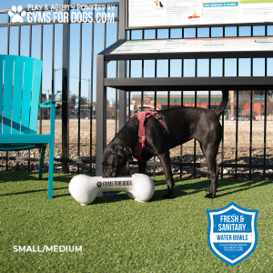 BoneBowlSmall 4