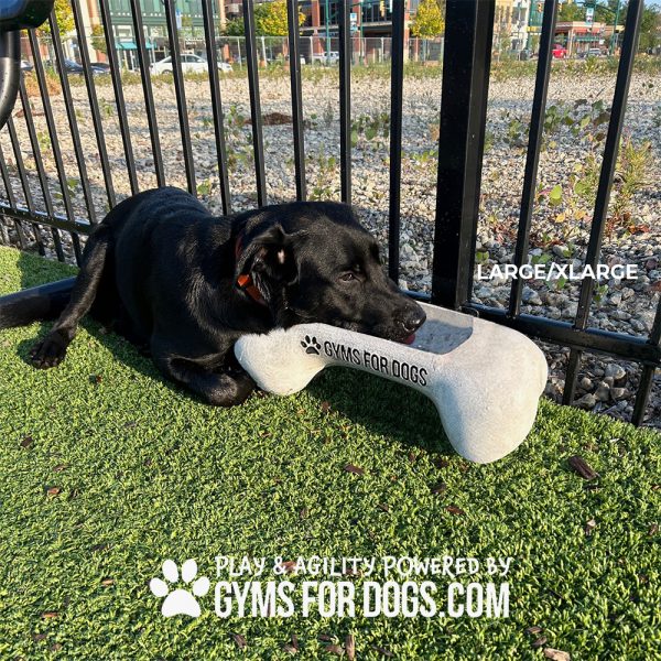 Large Bone Bowl Maggie2