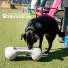 NEW BoneBowlSmall7