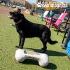 NEW BoneBowlSmall8