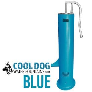 DL 1000 DD SLV BLU Swatch